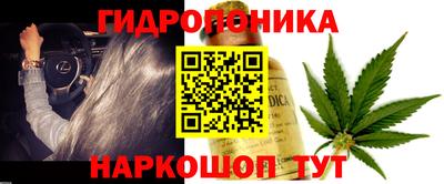 стаф Шахты