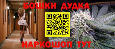 стаф Шахты