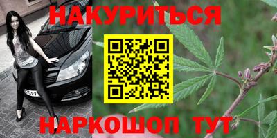 стаф Шахты