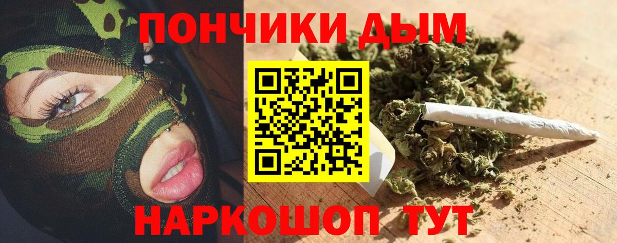 Каннабис планчик Черняховск
